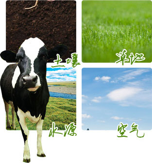 华体会体育官网